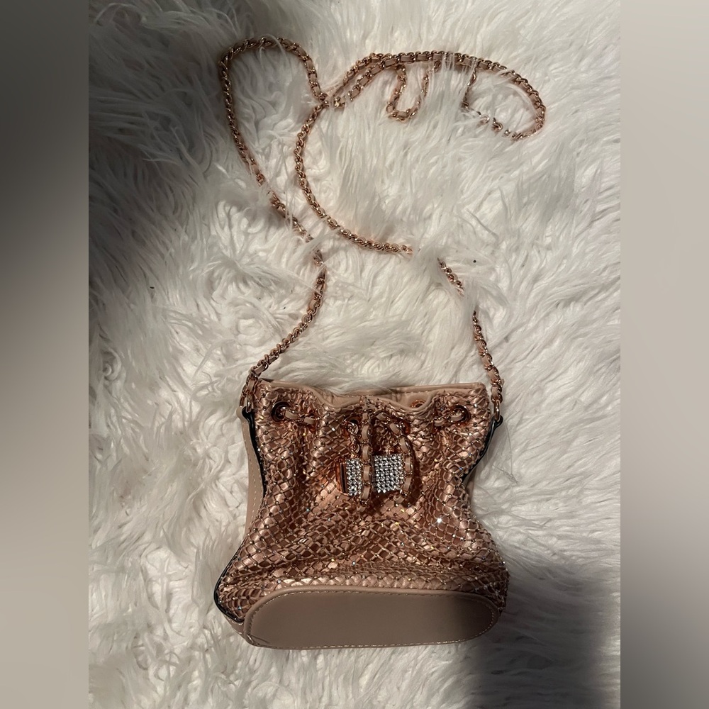 Aldo Rhinestone Purse